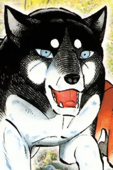 Izou