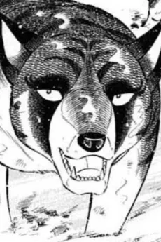 Terumune Kurobahaki