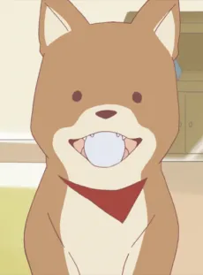 Pochi