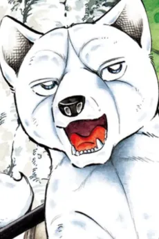 Hakutaka