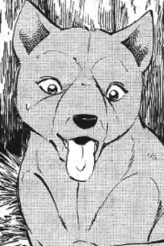Kotobuki