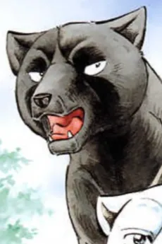 Kuma