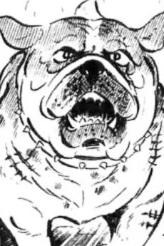 Jumbo