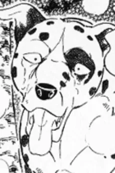 Toshi