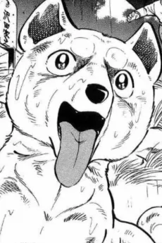 Shion