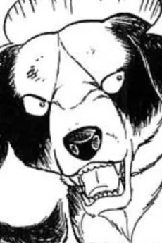 Kasube