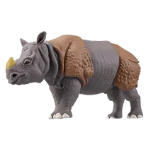 Cyrus