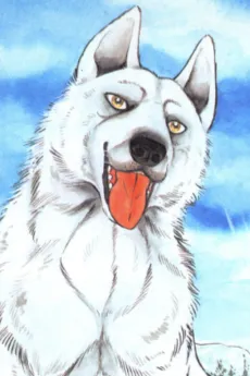 Fang
