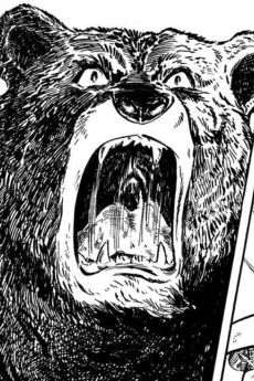 Akage