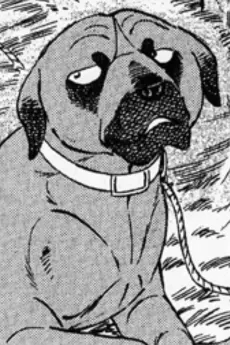 Chako