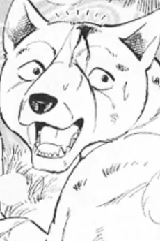 Toki