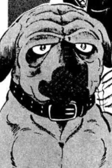 Daichi