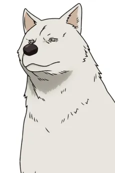 Inu