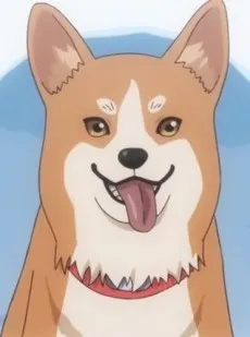 Pechi