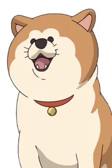 Pochi-san