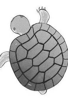 Wakaba