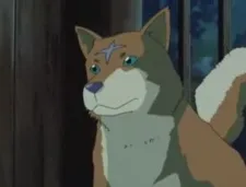 Wolf