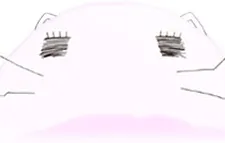Momoneko