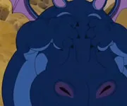 Hippopotamus