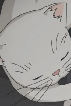 Marshmallow