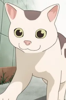 Gin
