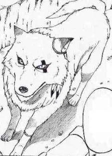 Zero