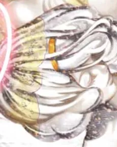 Jami