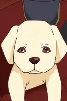 Airu no Koinu