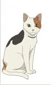 Luca