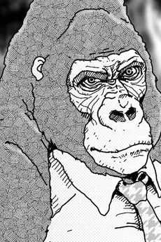 Gorilla Gorilla Gorilla