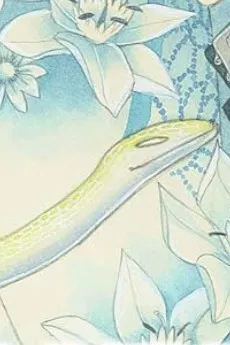 Kou
