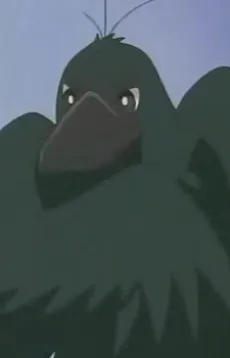 Hashibuto-san