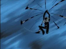 Silver Hakaider