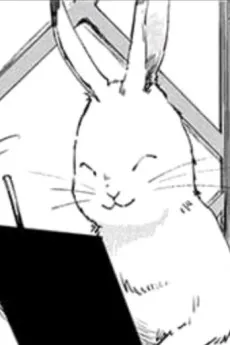 Usagi