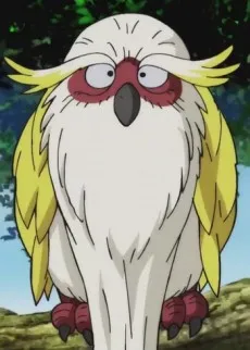 Toki Toki