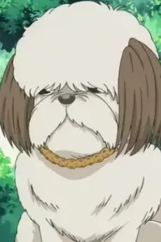 Chocola Noda