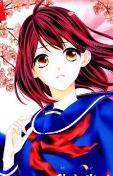 Sakura Kawai