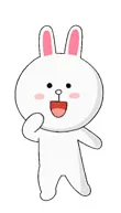 Cony