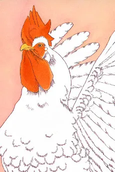 Hiyo-chan