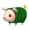 Pugi