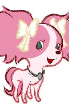 Candy