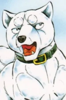 Shiro