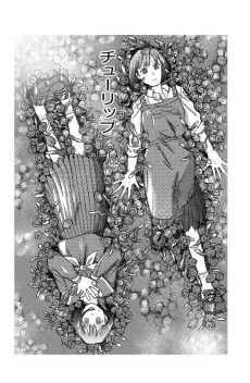 Tulip cover