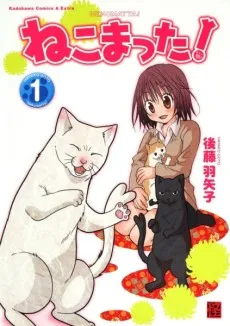 Nekomatta! cover