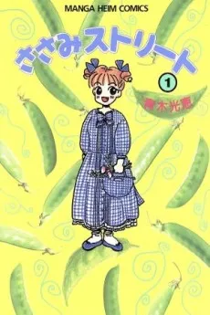 Sasami Street cover