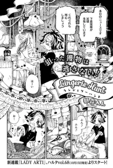 Lingerie Hunt cover