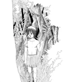 Amazon cover
