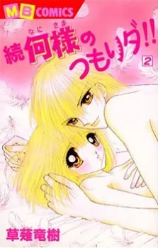 Zoku Nani-sama no Tsumorida!! cover