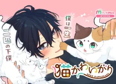 Neko Kawaigari cover