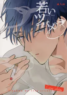 Wakai Tsubame cover